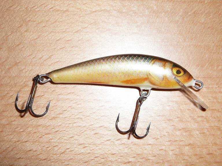 Salmo Minnow 5 - RR.JPG