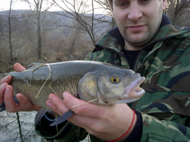 IMG-20111230-00140.jpg