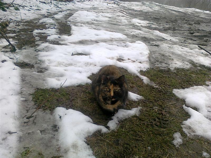 Picture 009 (Medium).jpg