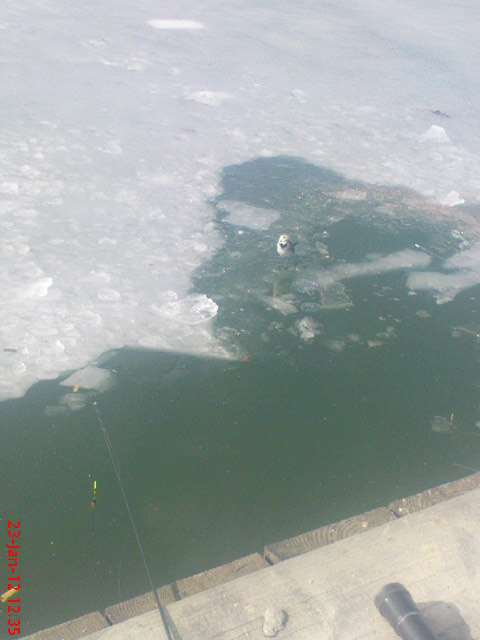 DSC04265.JPG