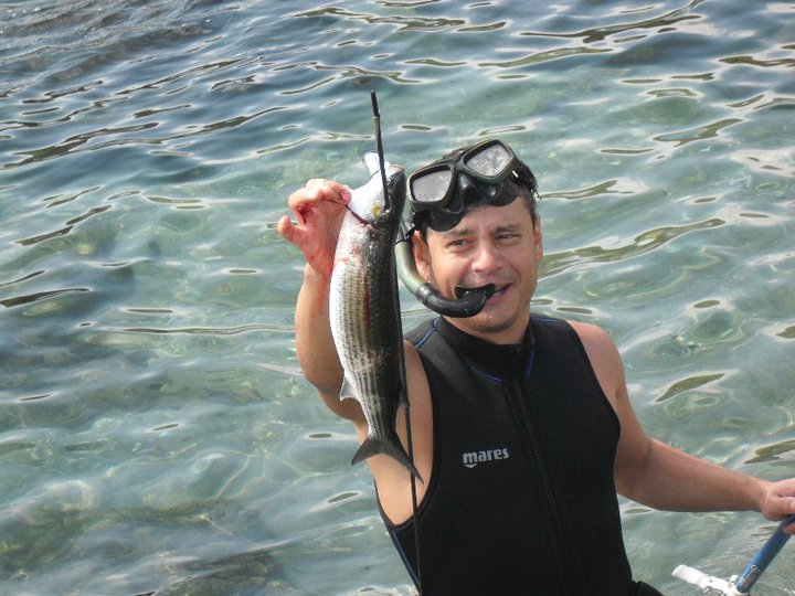 58341_1340328482111_1502753_n[1].jpg