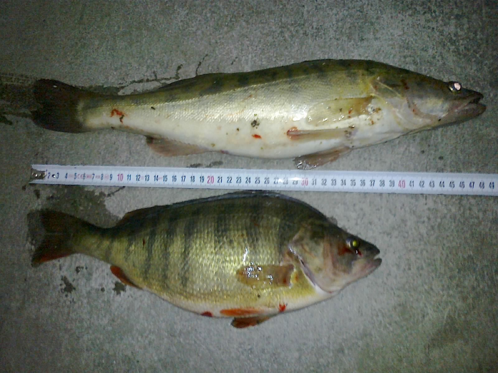 29102011295.jpg