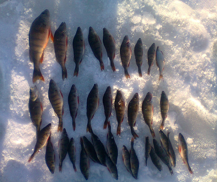 Photo01.jpg