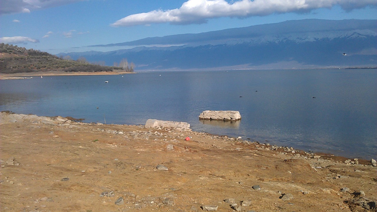 IMAG0183.jpg
