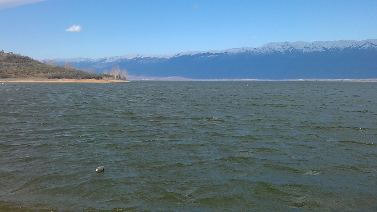 IMAG0186.jpg