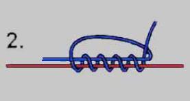 knot.jpg