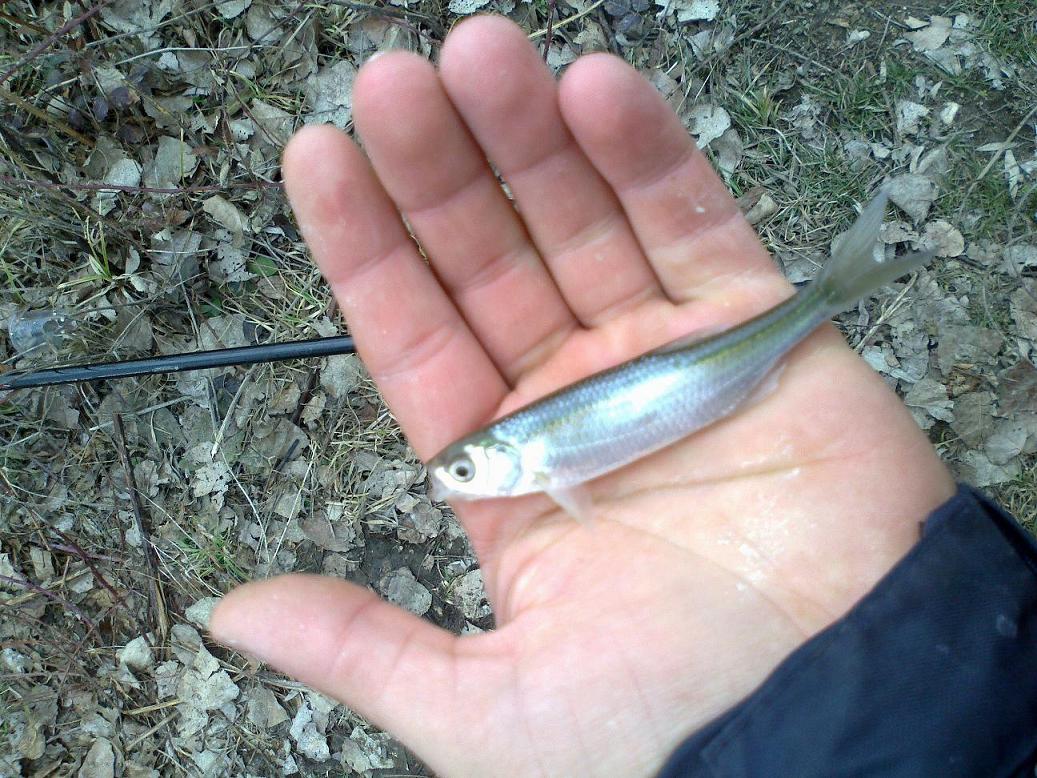 100320121510.jpg