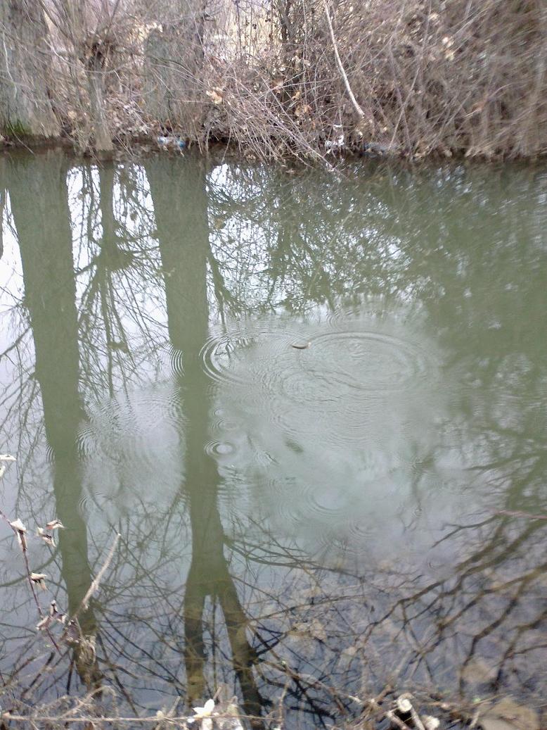 100320121512.jpg