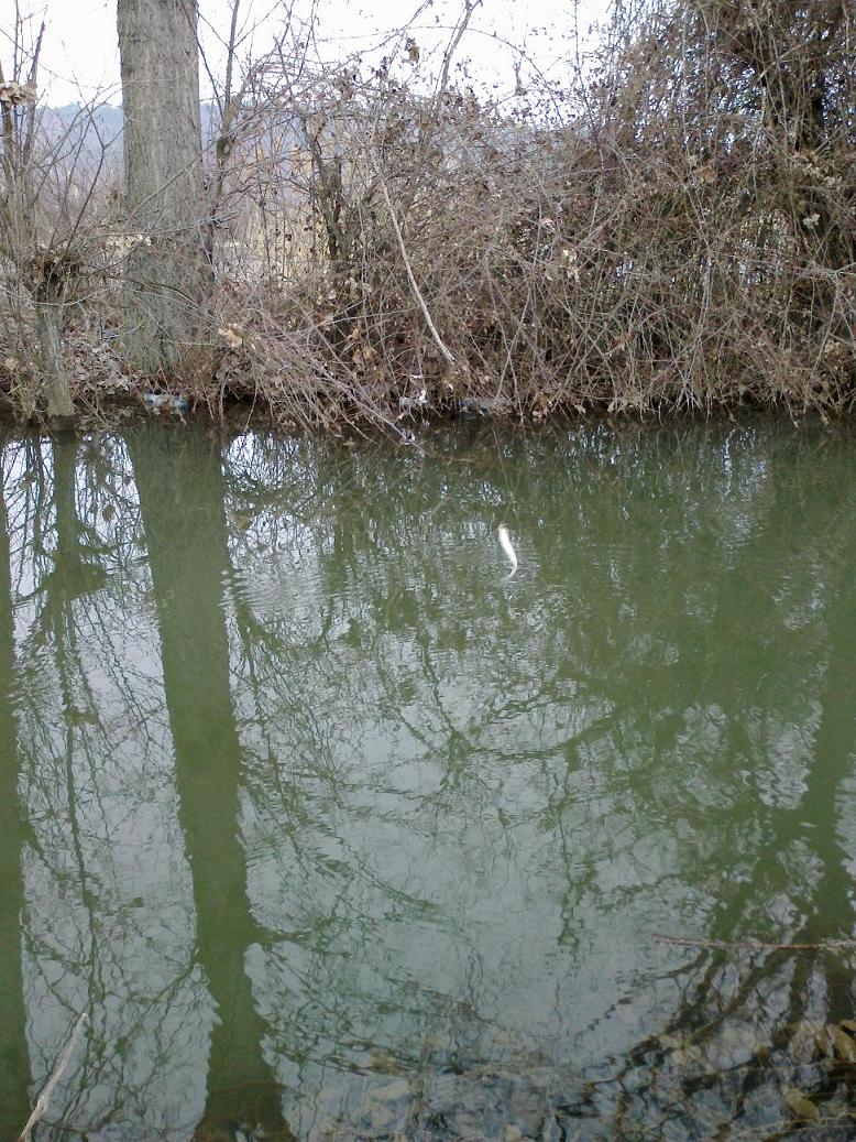 100320121513.jpg