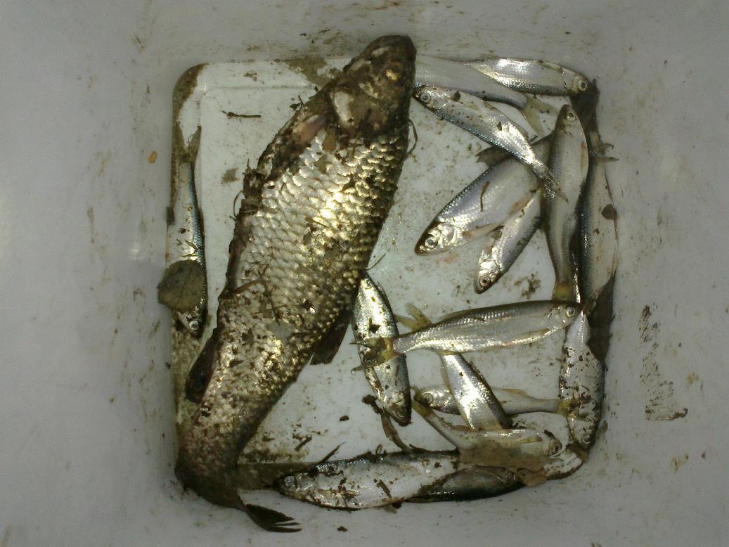 100320121514.jpg