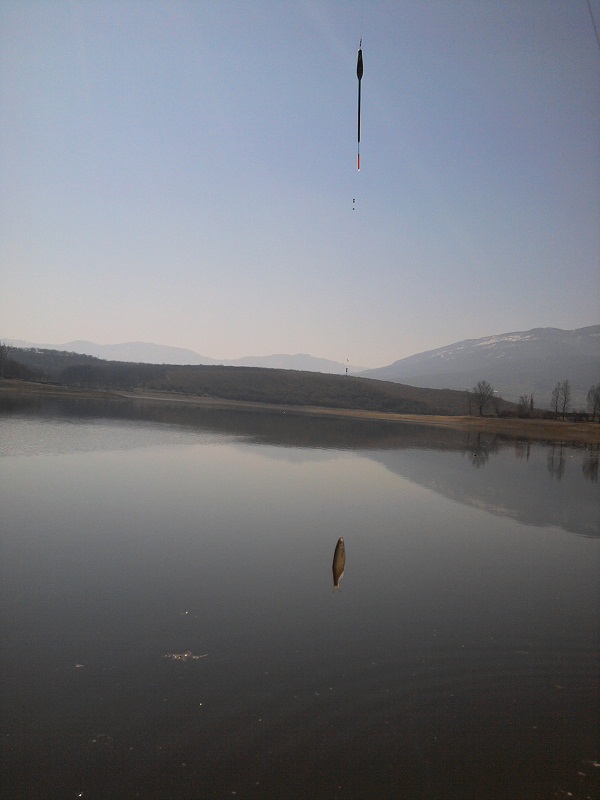2012-03-18 10.50.26.jpg