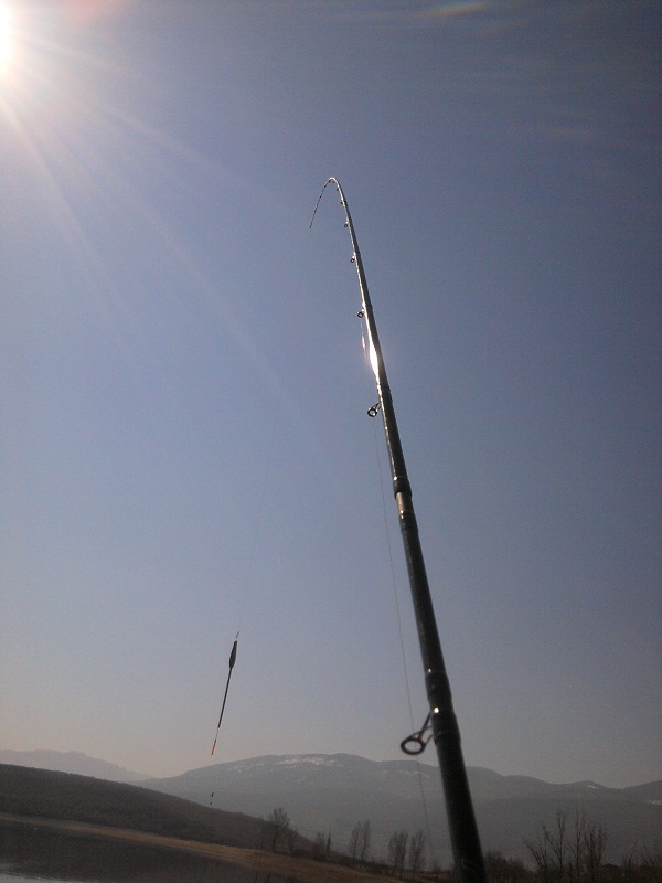 2012-03-18 10.50.34.jpg