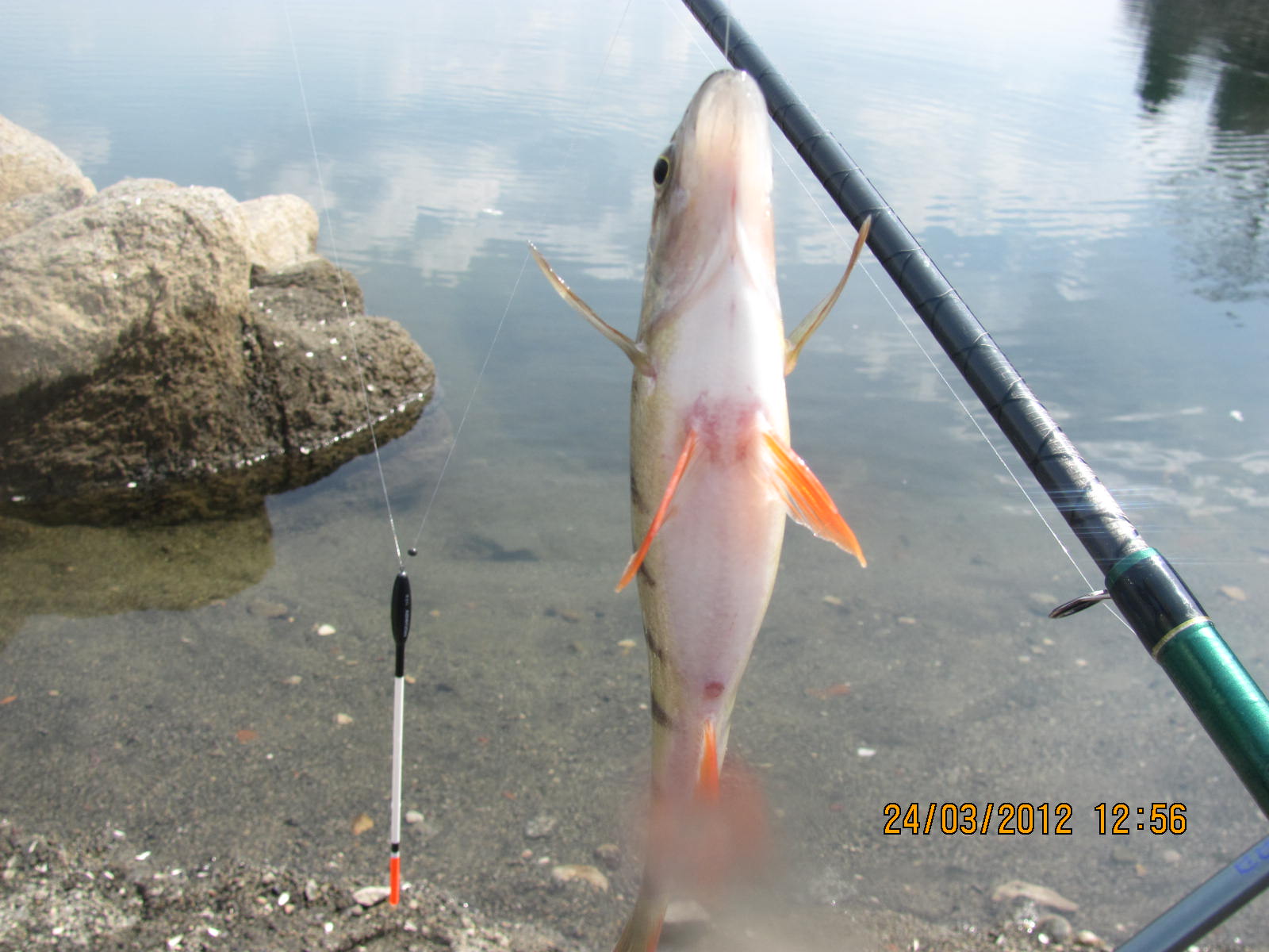 24 03 11-iskara 040.jpg