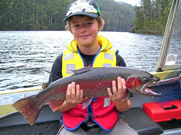 Rainbow_trout.jpg