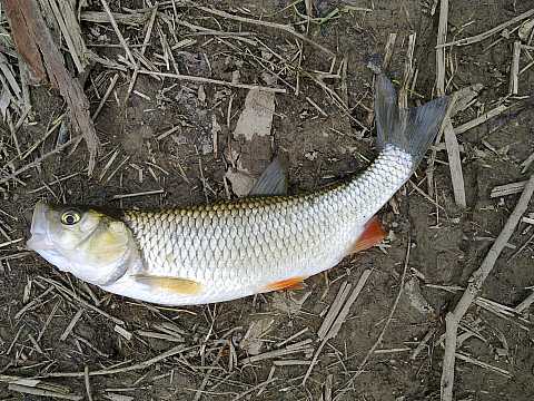 03042012190.jpg