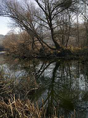 04122011057.jpg