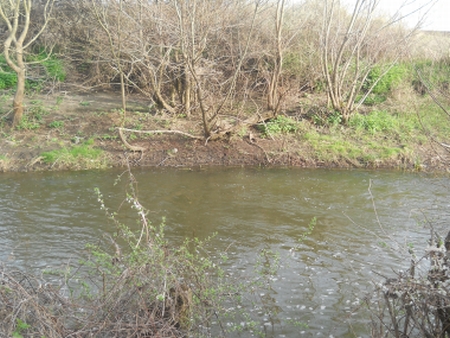 DSCN9392a.jpg