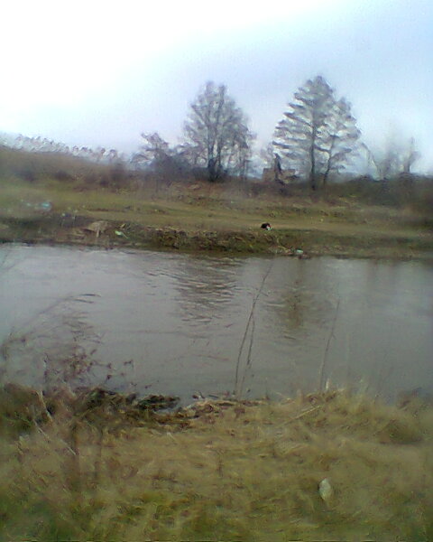 Снимка0411.jpg