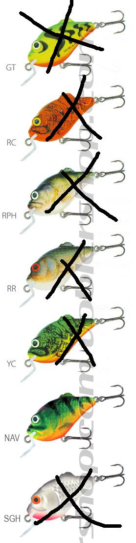 Salmo boxer