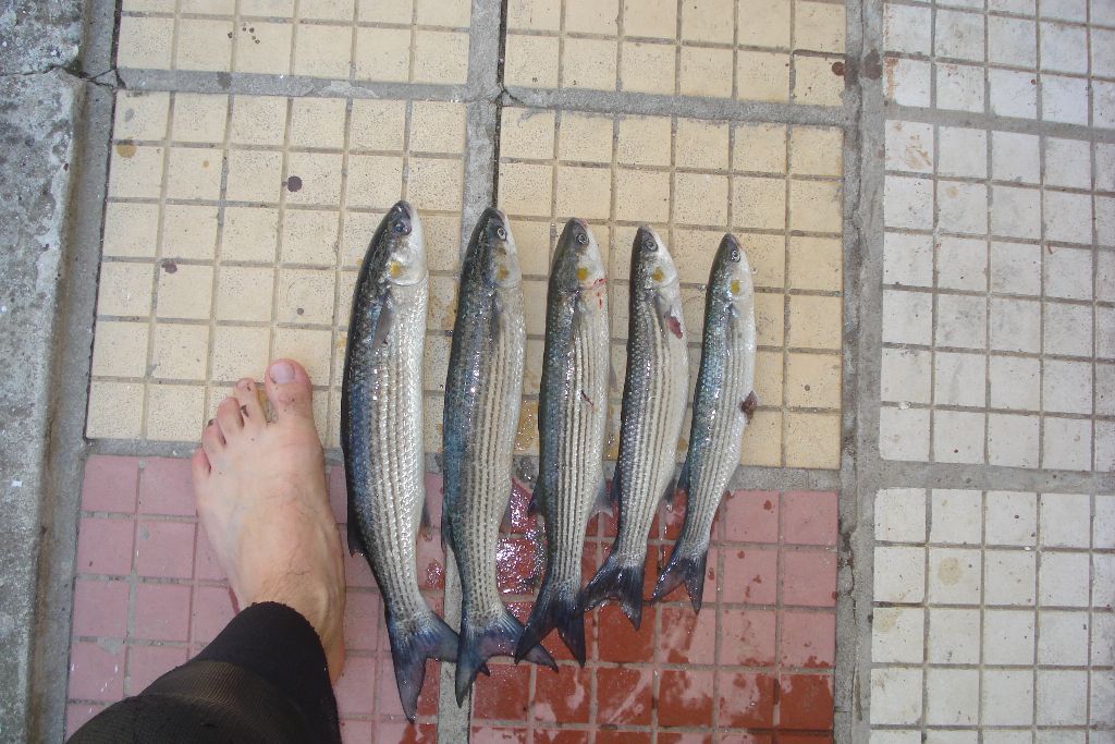 DSC0597722222.jpg