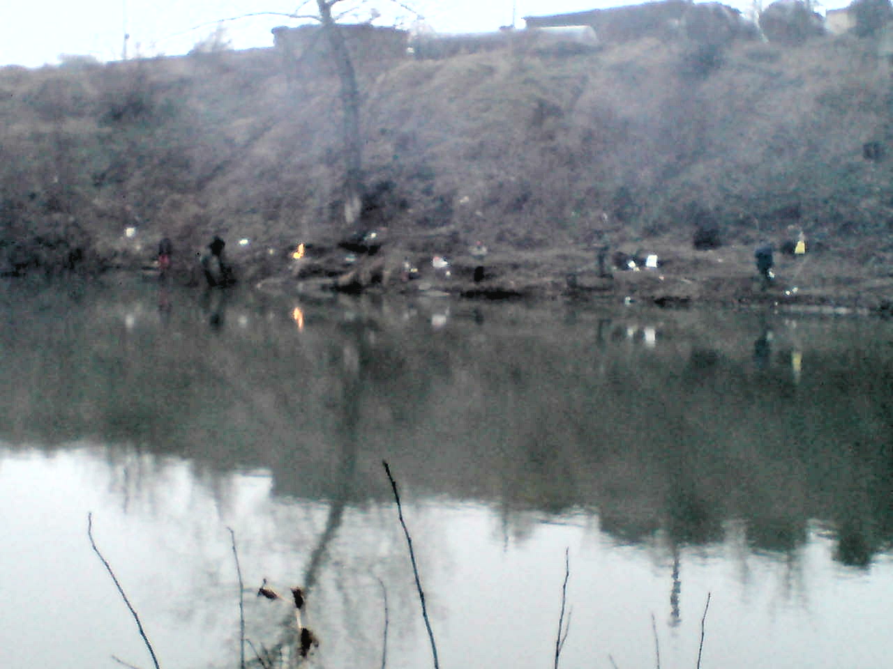 DSC02954.JPG