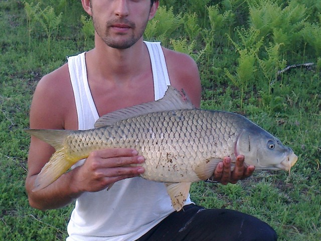 Снимка0215.jpg