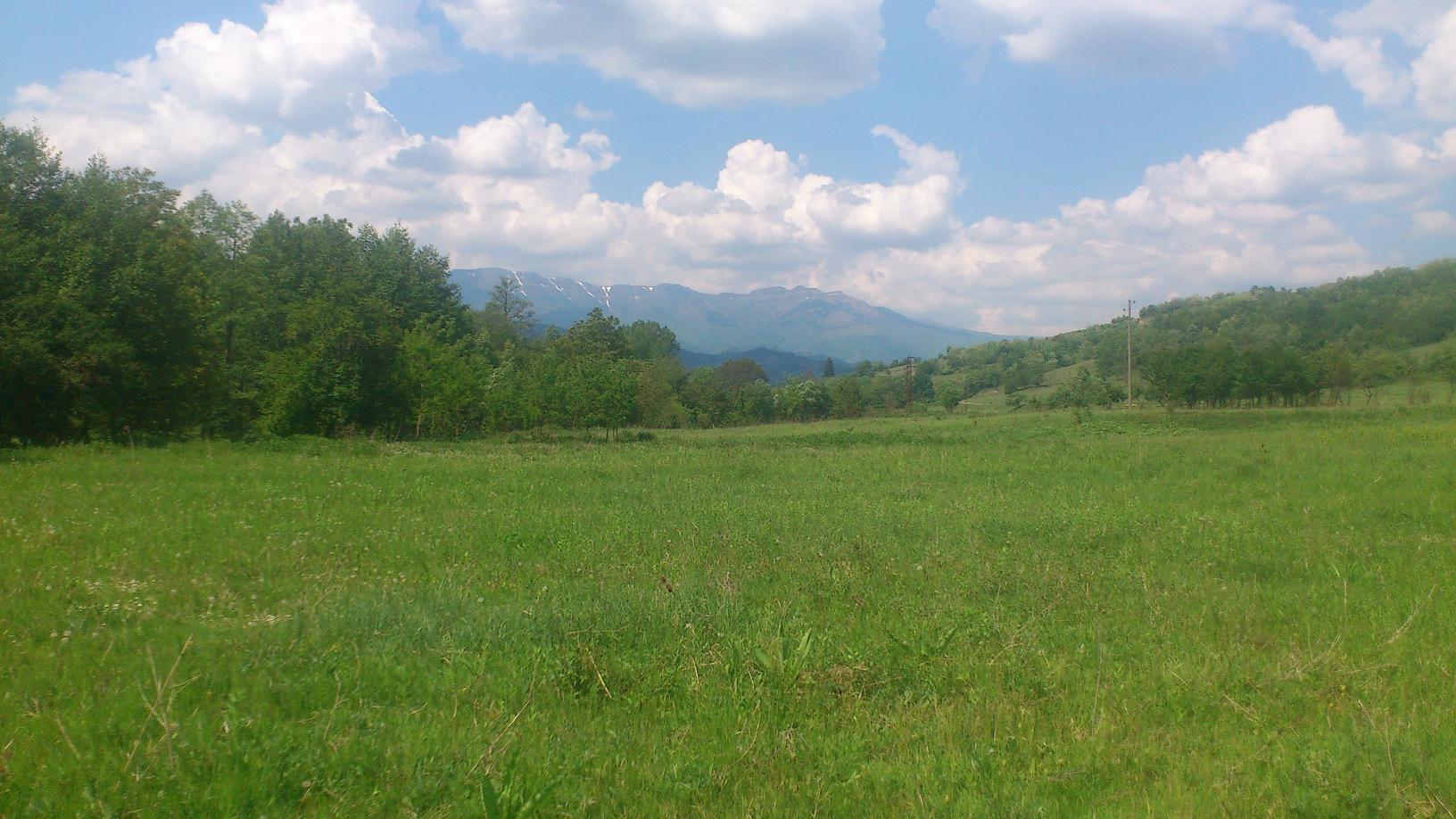 DSC_0272.jpg