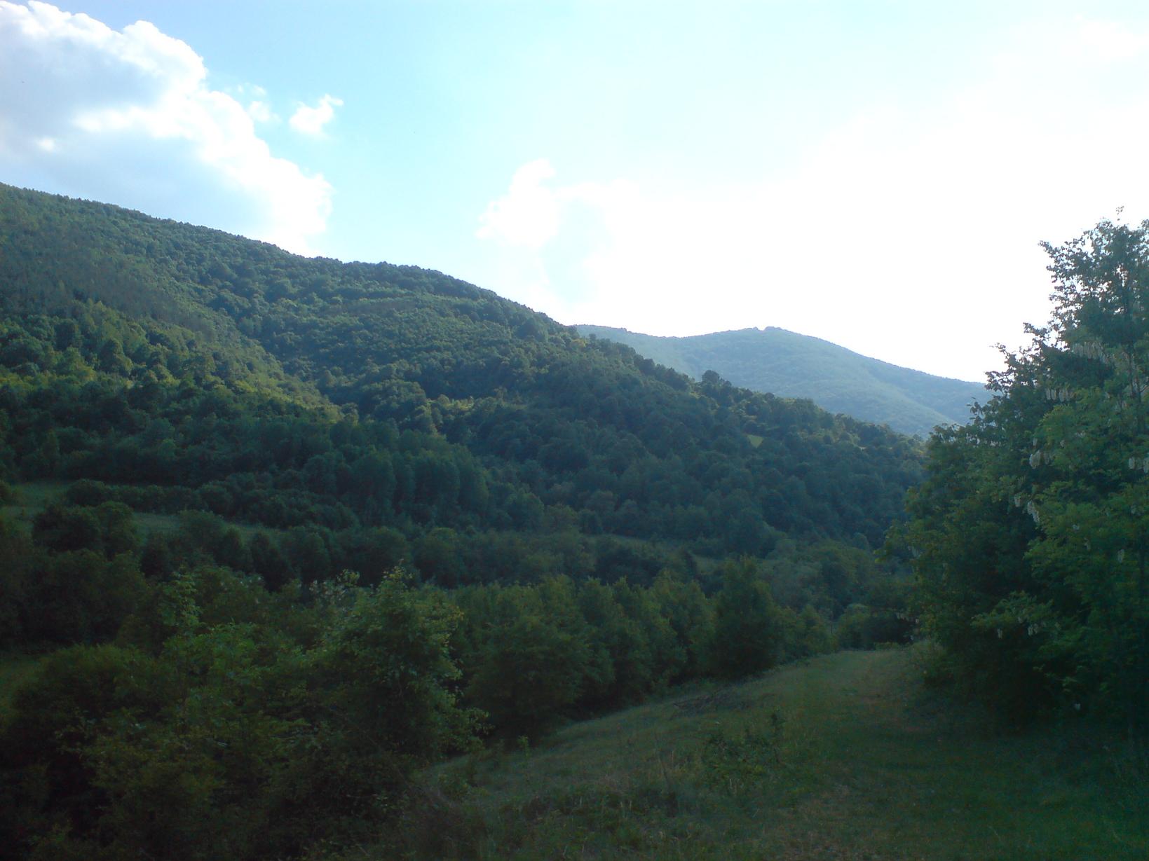 DSC00003.JPG