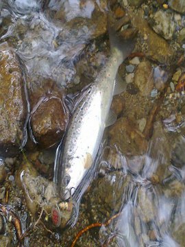 Photo01.jpg