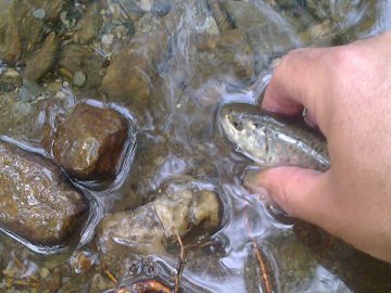 Photo02.jpg
