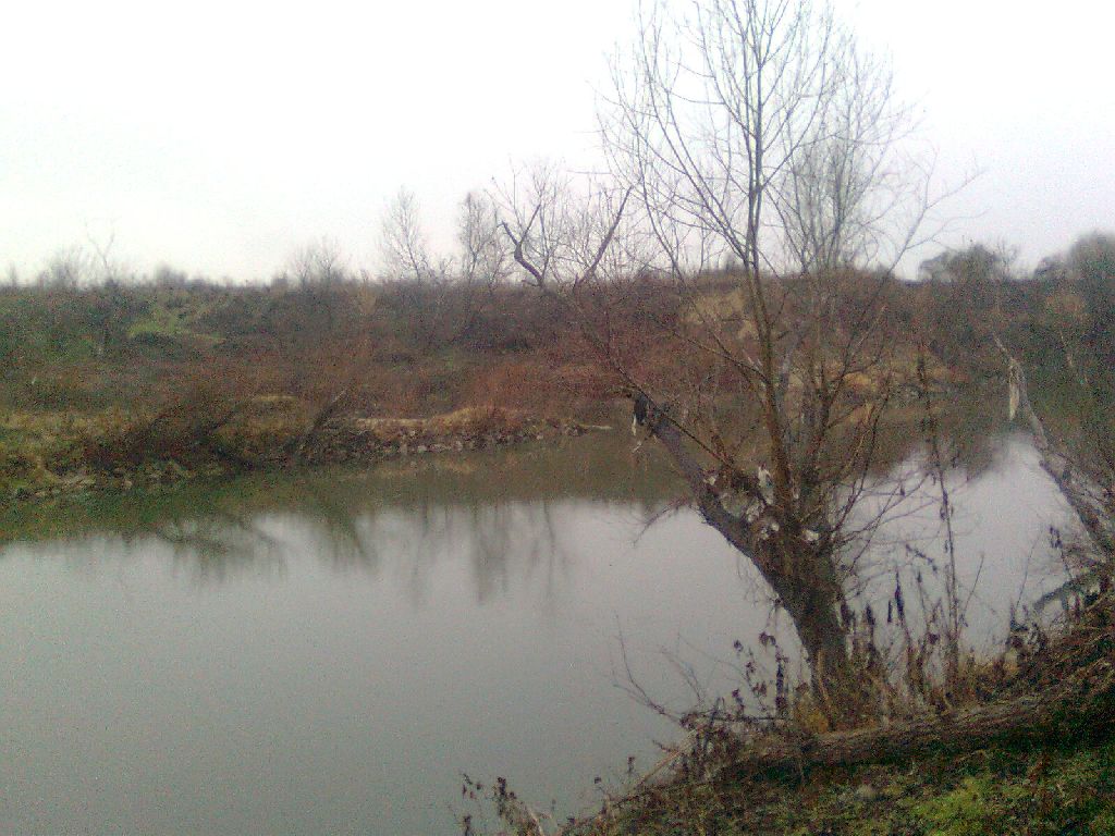Снимка0068.jpg