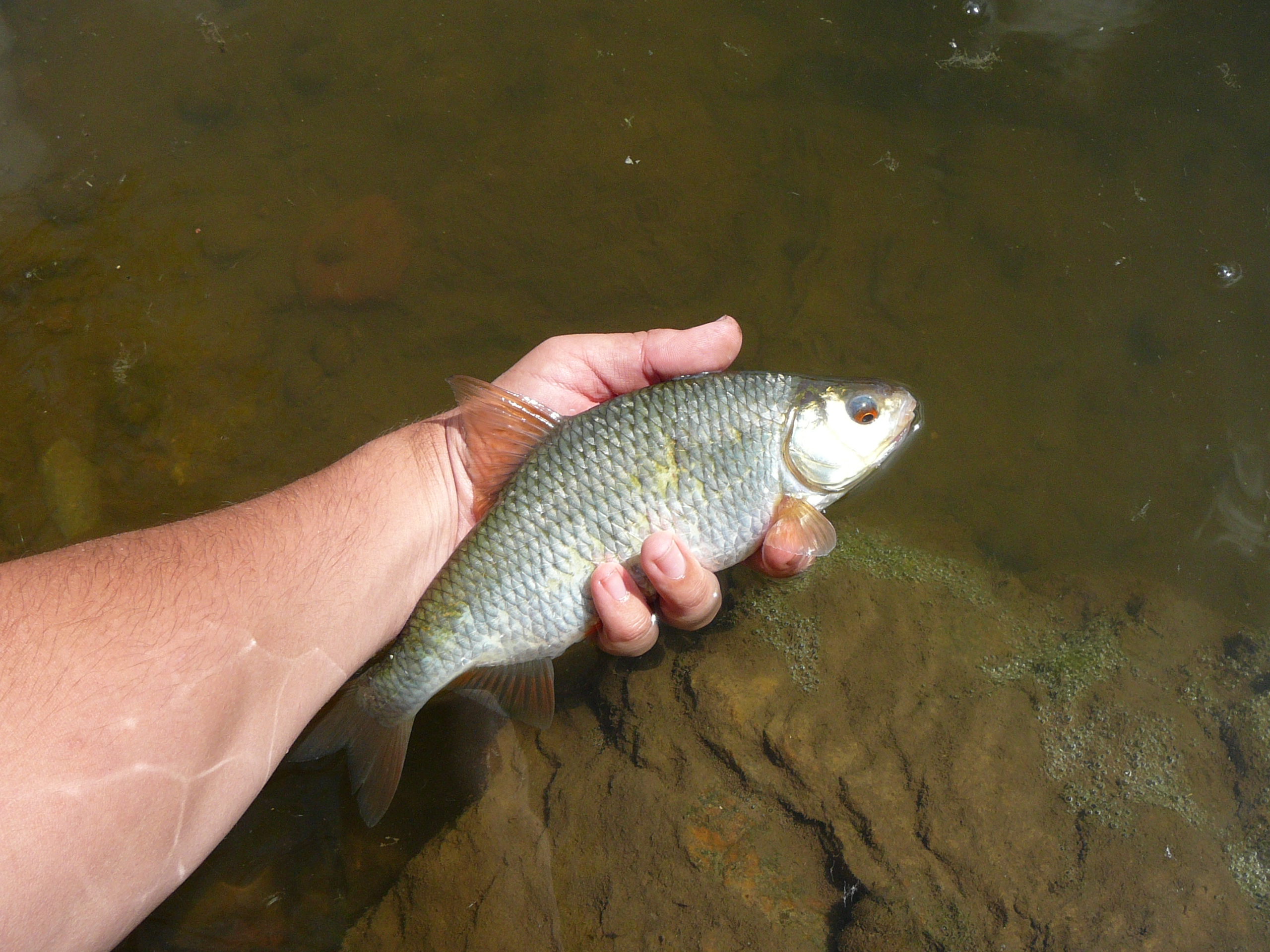 P1110835.JPG