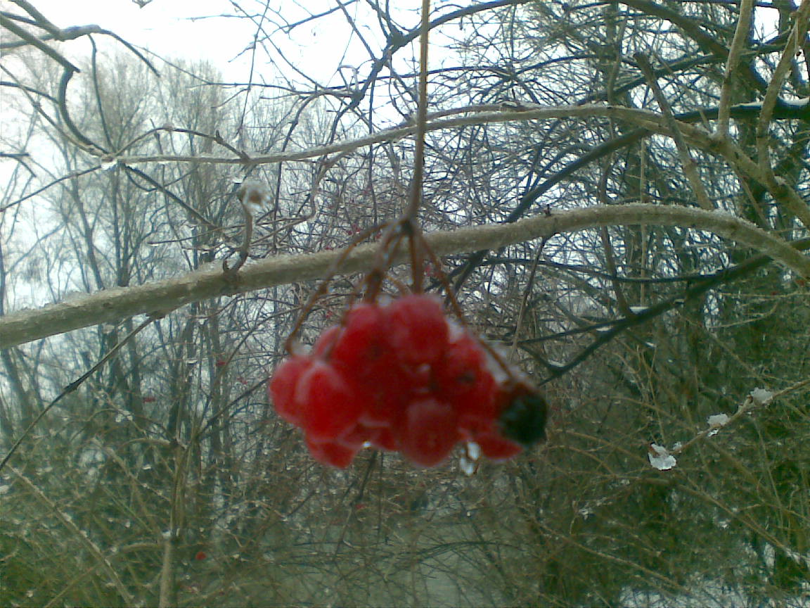 22012011(002).jpg