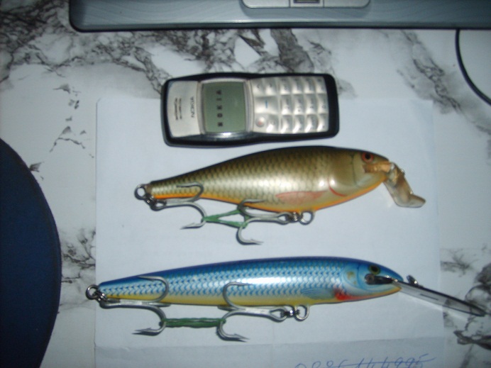 S5005561.JPG