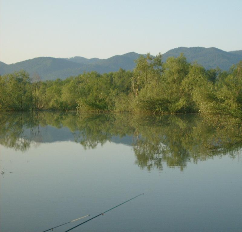 S6301796.JPG