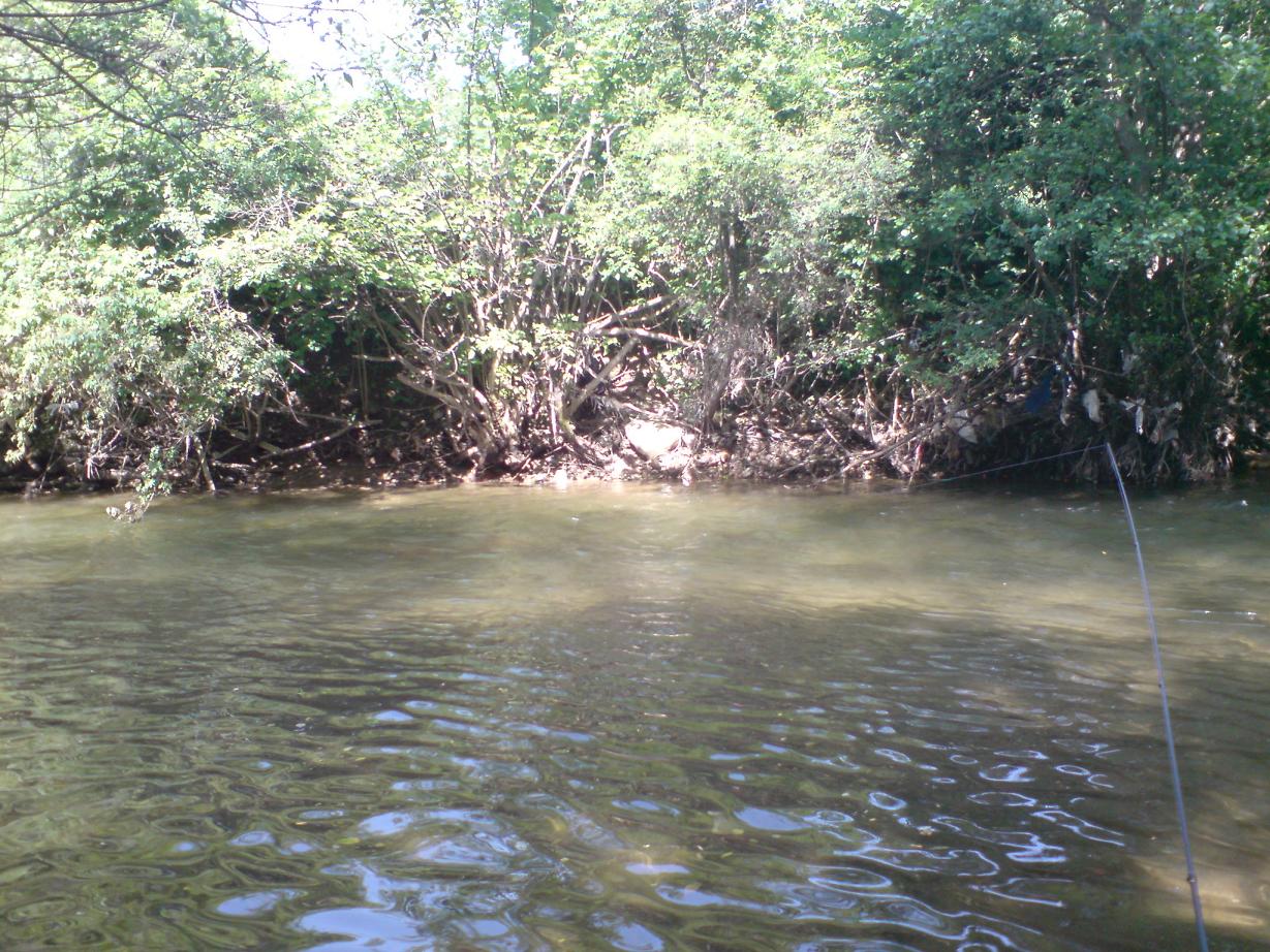 DSC00033.JPG