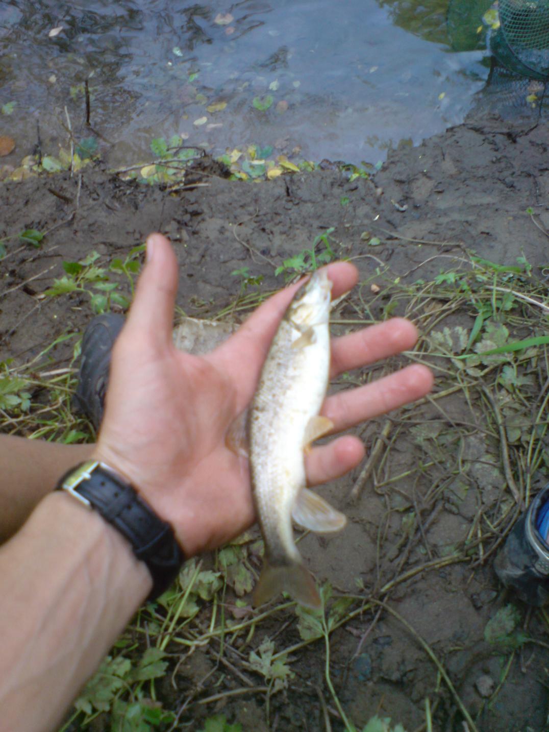 DSC00034.JPG