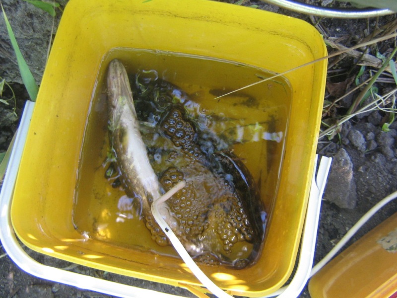IMG_7965.JPG