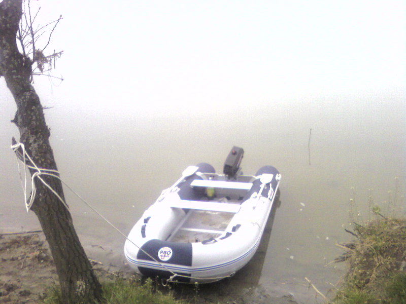 Photo-0005.jpg