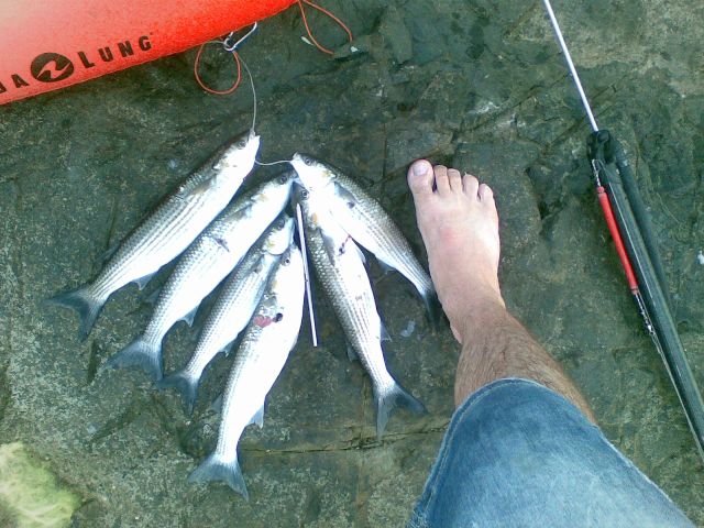 12072012.jpg.jpg