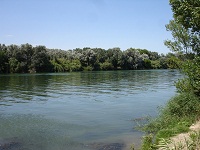 DSC01682.JPG