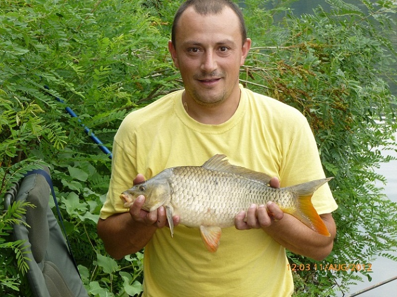 P1020350 - Копие.JPG