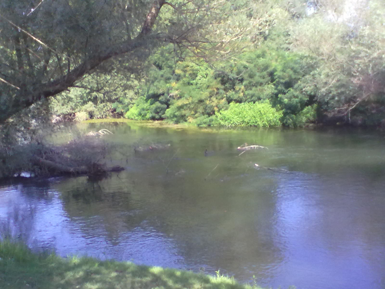15082012189.jpg