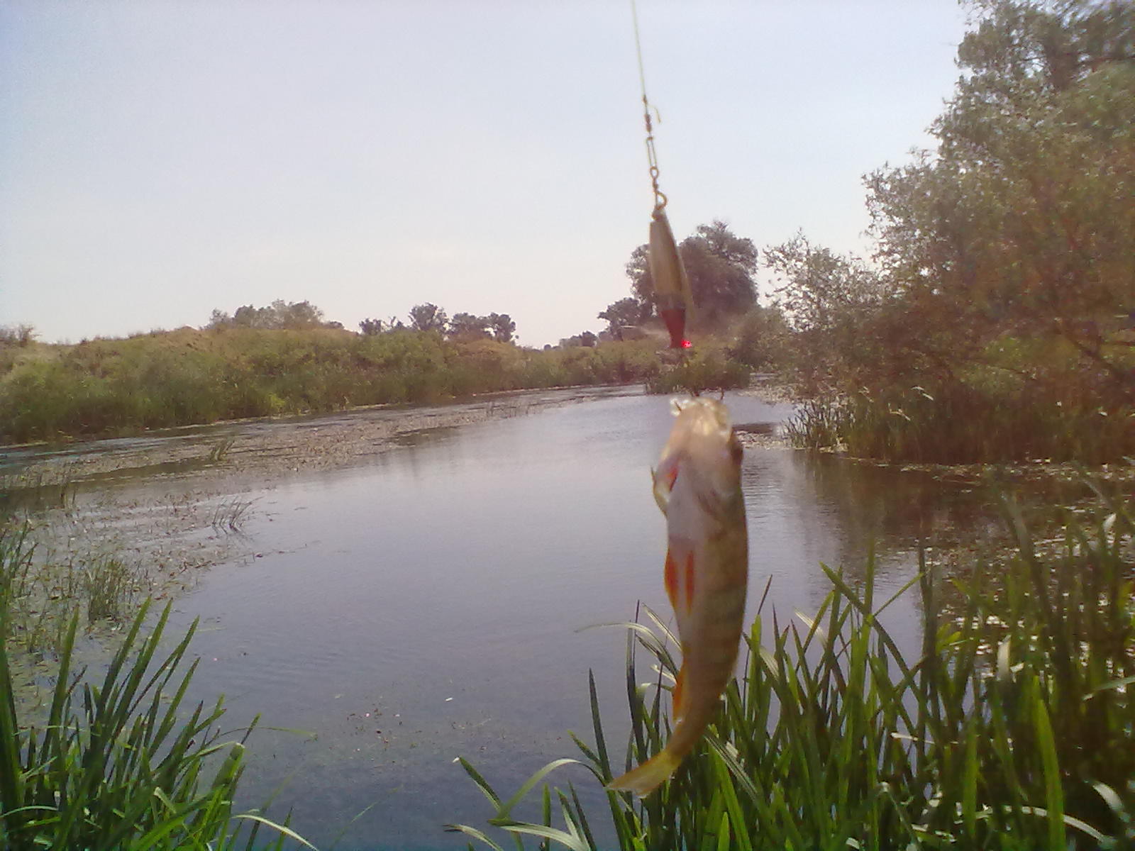 15082012190.jpg