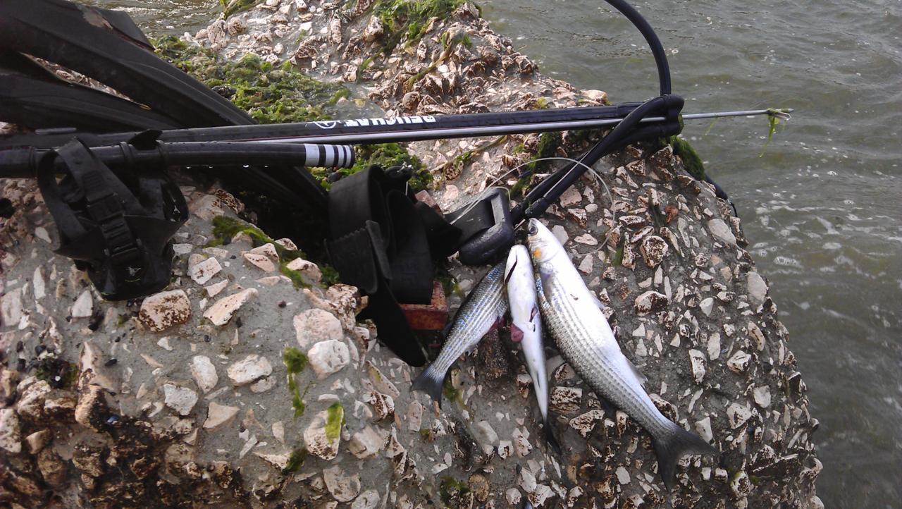IMAG0062_1280x722.jpg