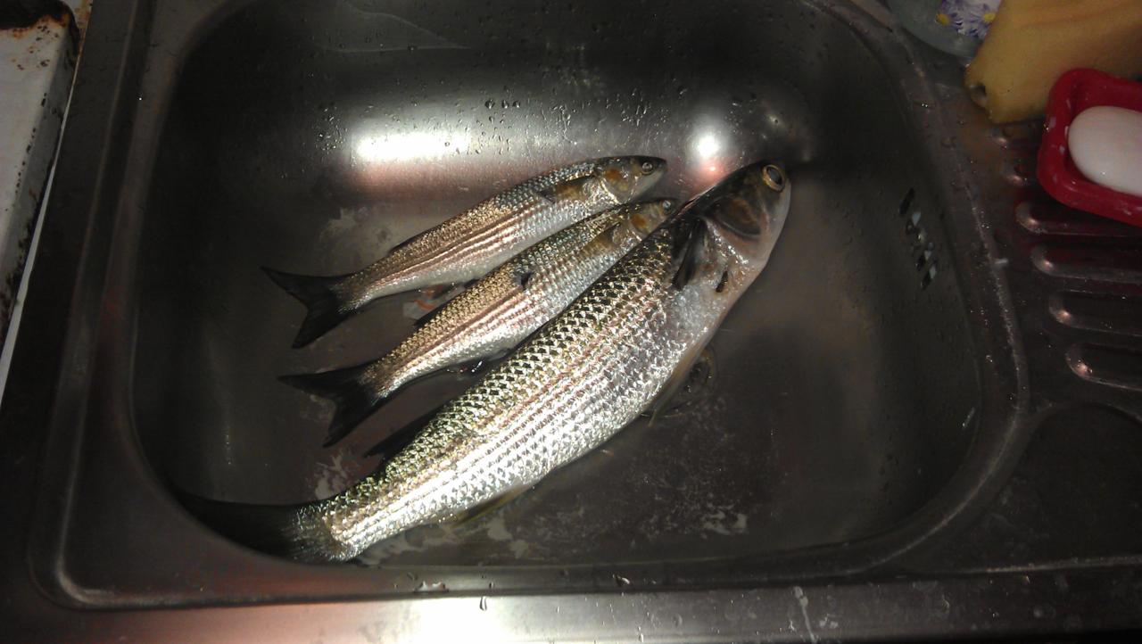 IMAG0091_1280x722.jpg