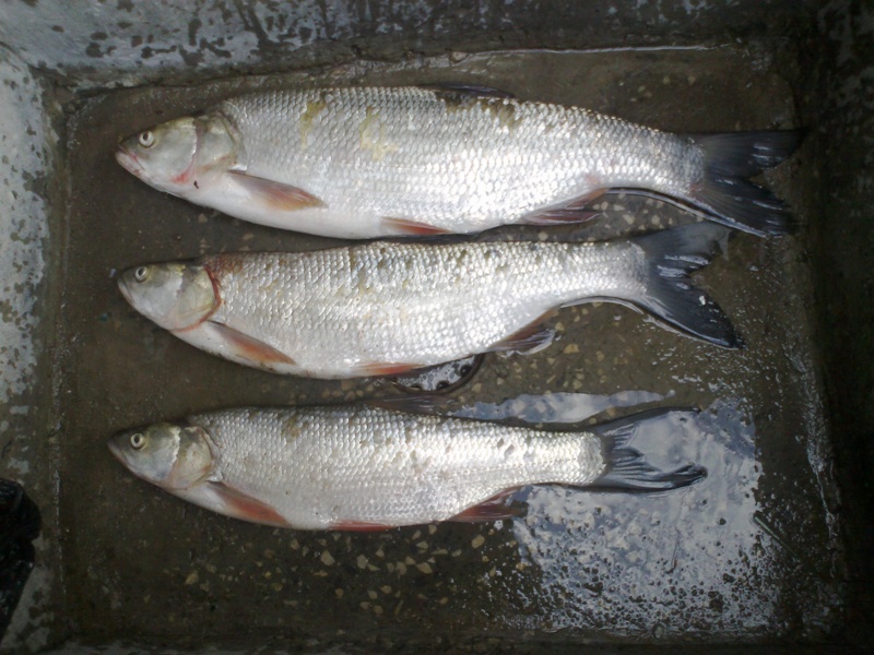 04082012052.jpg