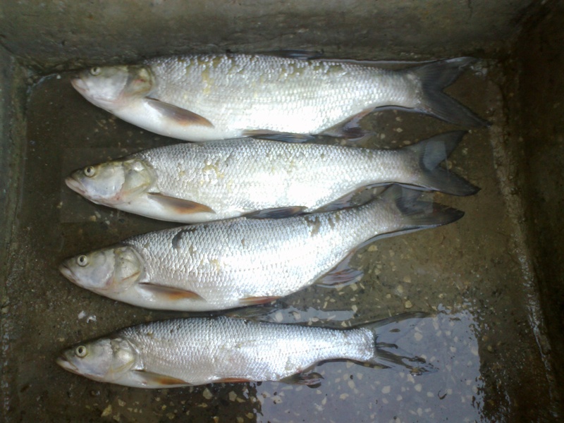 20072012035.jpg