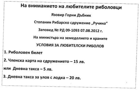 DOLNIDABNIC1.jpg