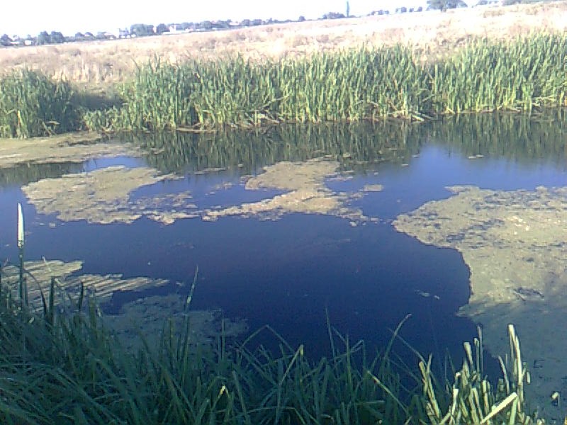 Скутаре.jpg
